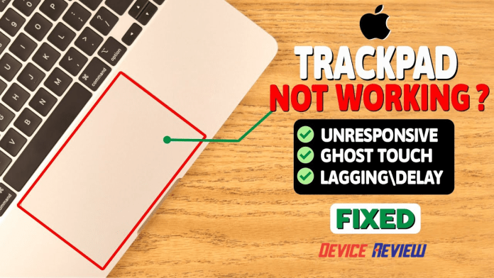 MacBook Trackpad Not Working? 15 Effective Fixes!